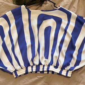 Blue and White Striped Cropped Top with Elastic Hem